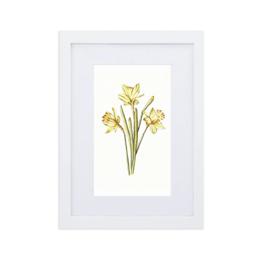 matte-paper-framed-poster-with-mat-(cm)-white-21x30-cm-transparent-6201408c90bec.jpg