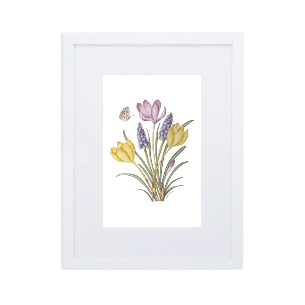 matte-paper-framed-poster-with-mat-(cm)-white-30x40-cm-transparent-62daba8236a31.jpg