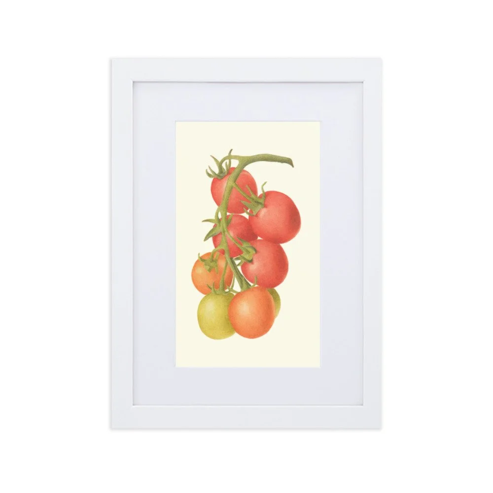 matte-paper-framed-poster-with-mat-(cm)-white-21x30-cm-transparent-62ebc8e531629.jpg