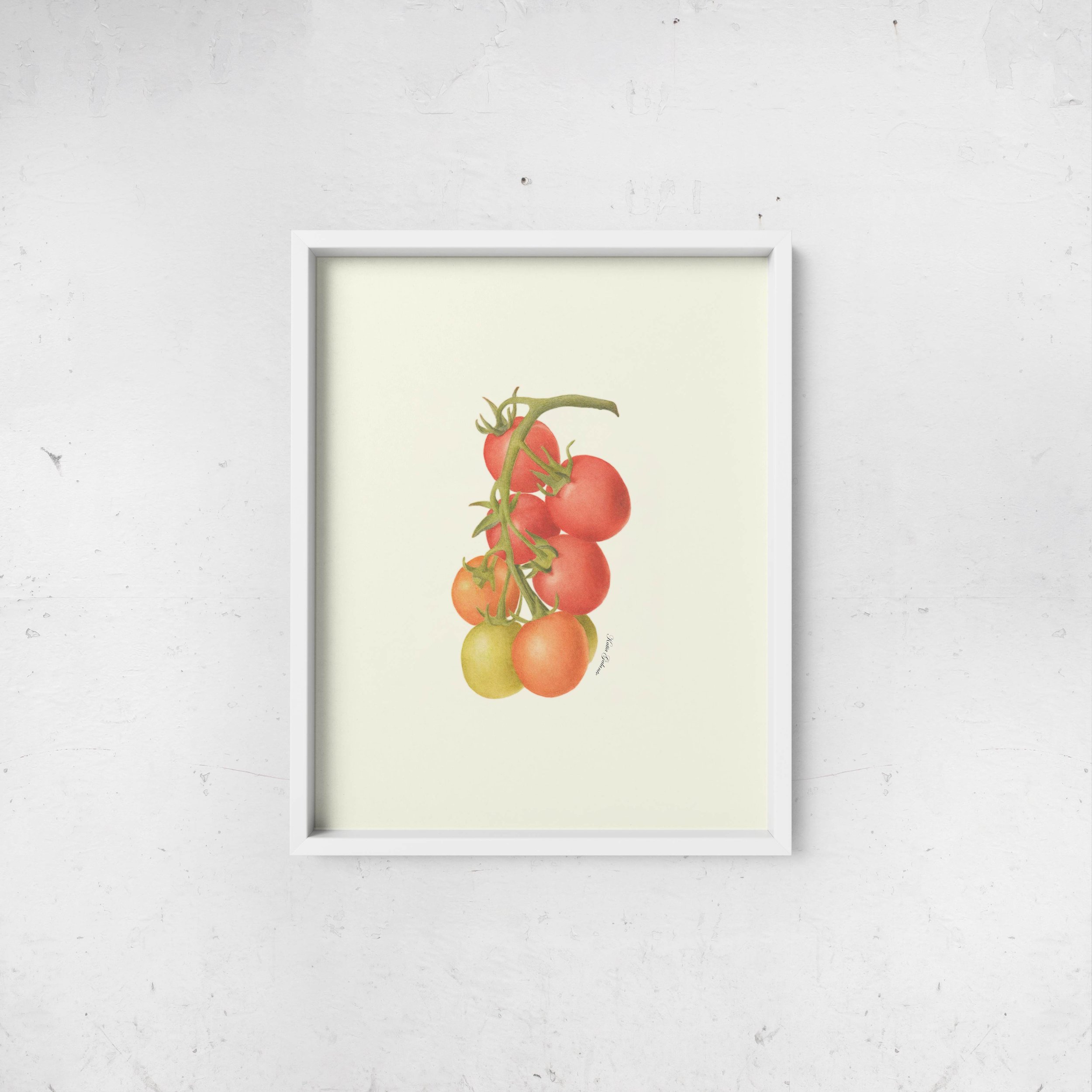 Cherry Tomatoes