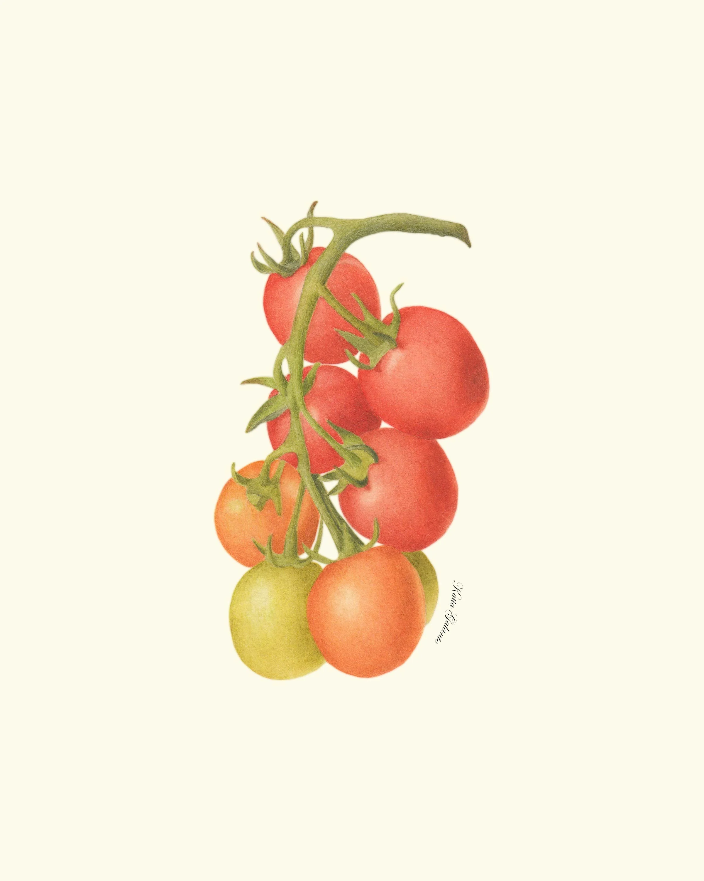 chery tomatoes 8x10inch for web.jpg