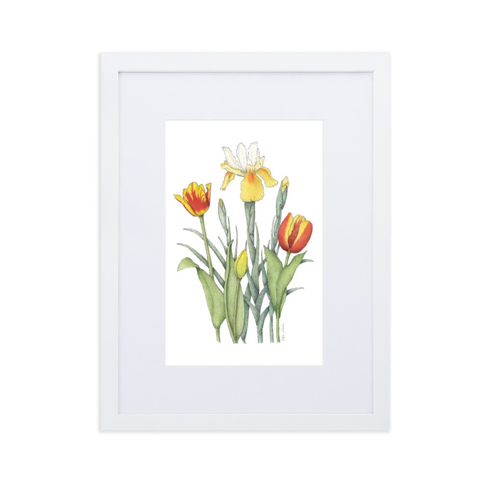 matte-paper-framed-poster-with-mat-(cm)-white-30x40-cm-transparent-62fb89a12298d.jpg