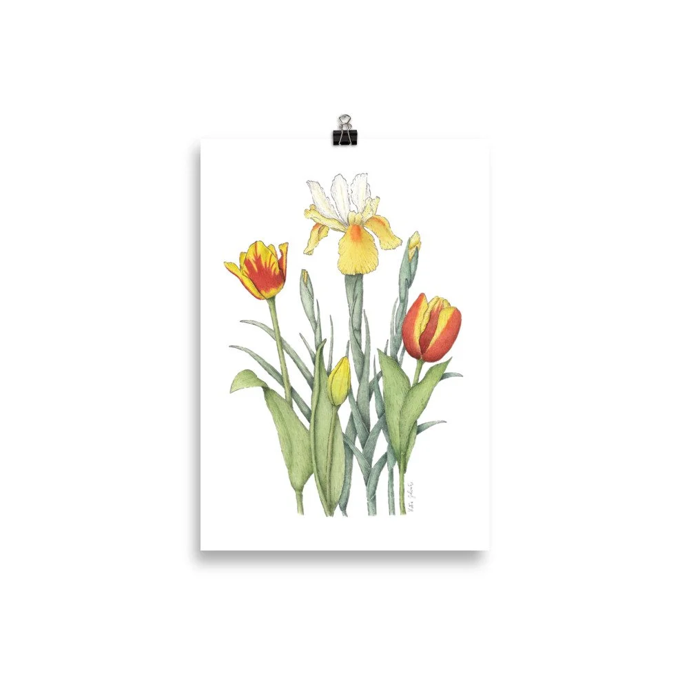 enhanced-matte-paper-poster-(cm)-21x30-cm-transparent-630899bf646ca.jpg