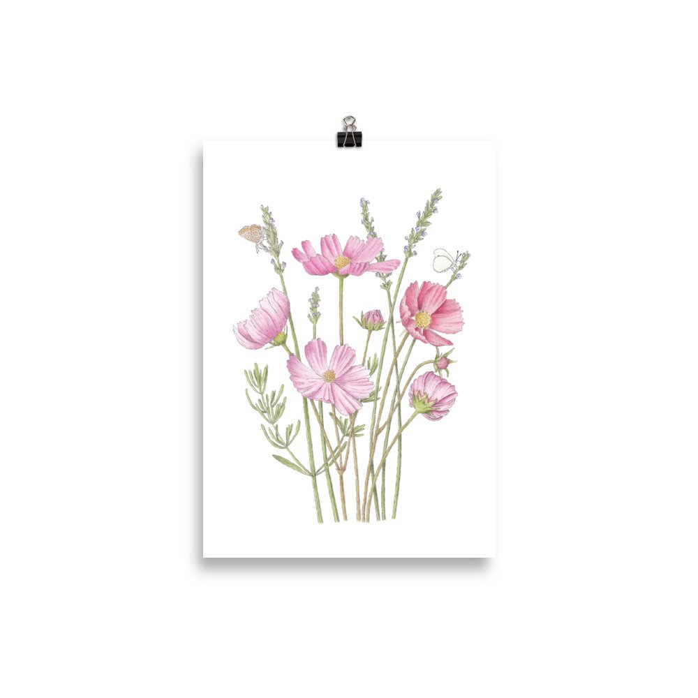 Cosmos and Lavender Art Print