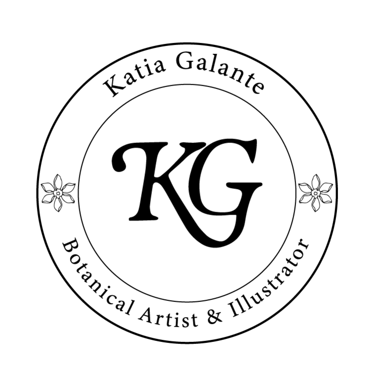 Katia Galante Art