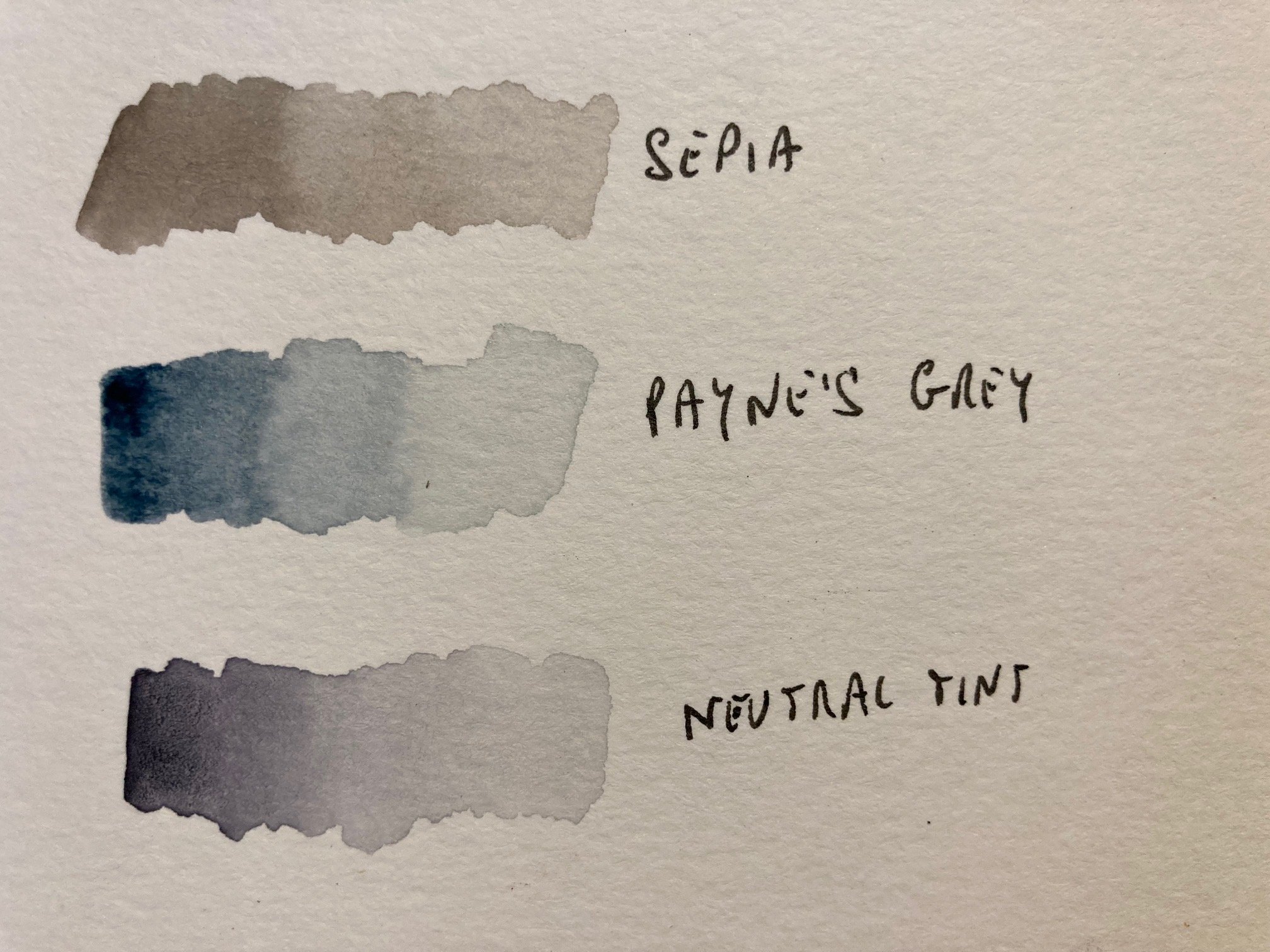Discover the Beauty of Grey in Botanical Painting: Fifty Shades Of