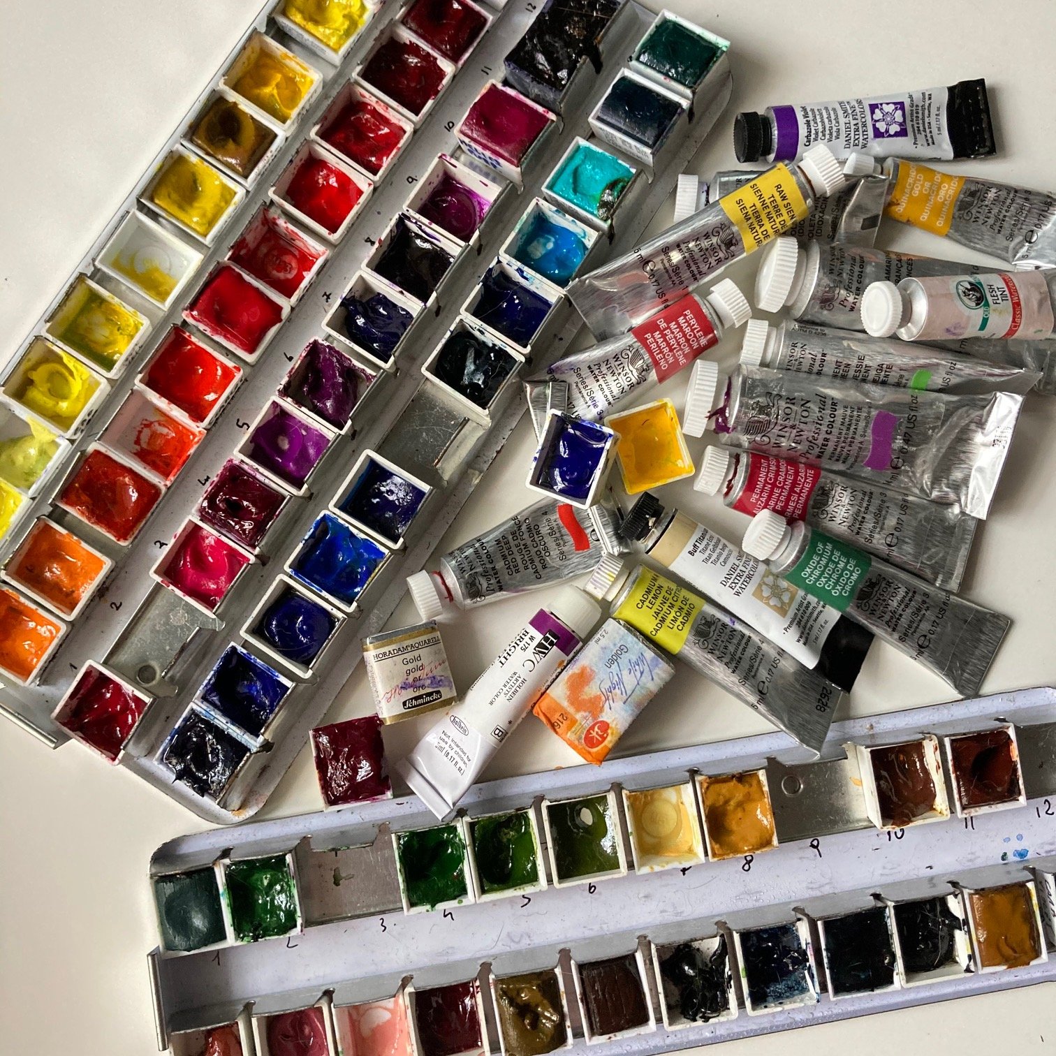 Should I Choose Watercolor in Tubes or Pans? The Beginner's Conundrum —  Katia Galante Art