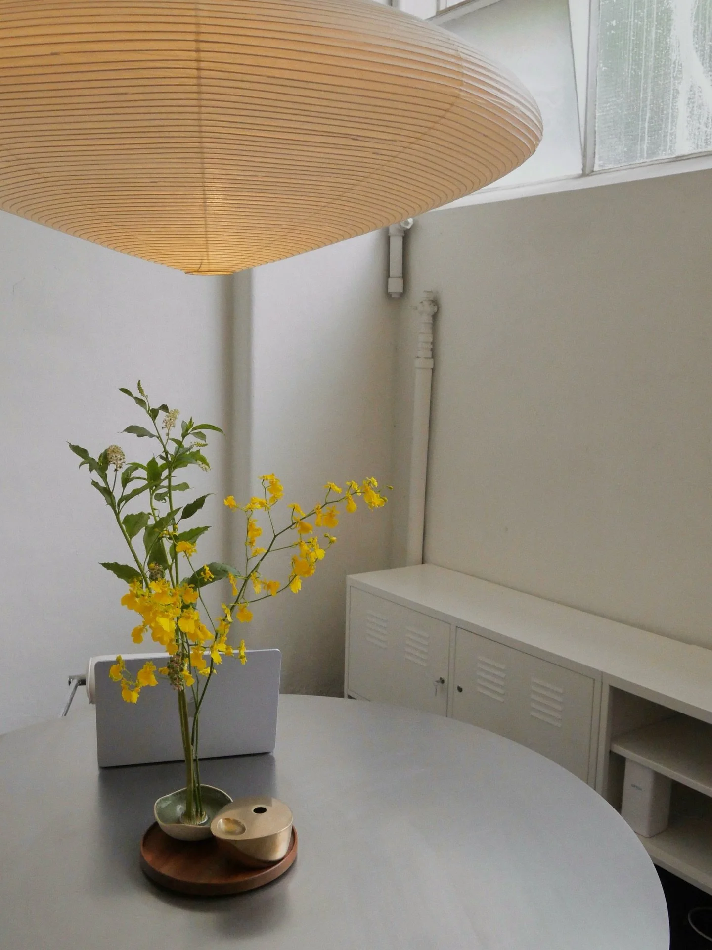 &mdash;&mdash; Studio, flowers, process, process, process &amp; life advice 🌷👩🏻&zwj;🏭🐾