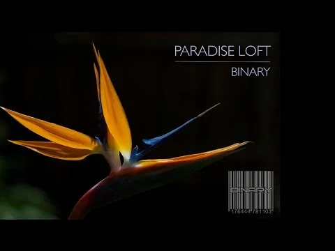 Paradise Loft (BINARY)