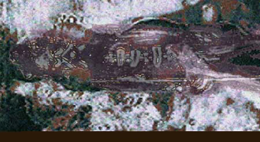 trackersmap copy.jpg