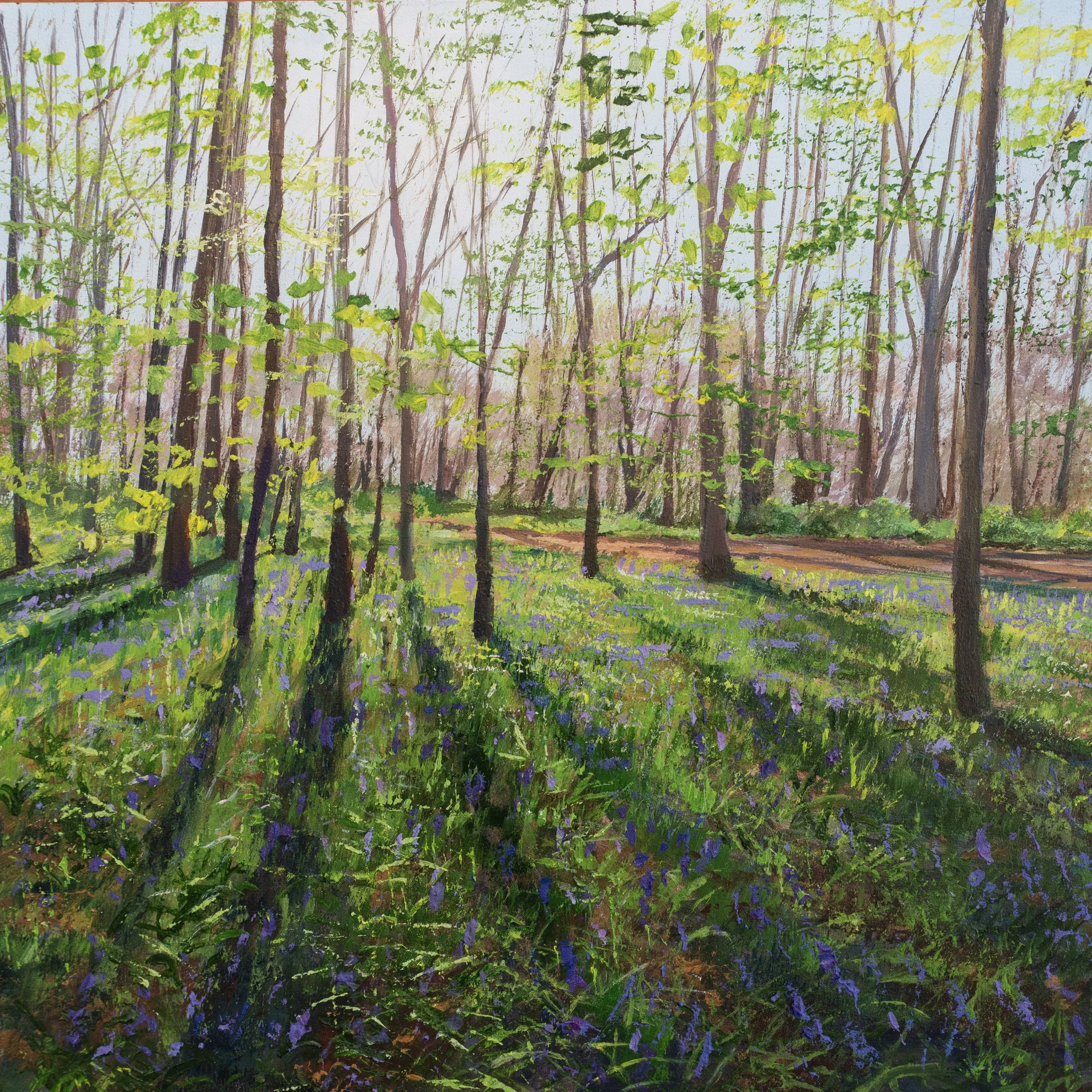 Light  Beams, Bluebells.jpg