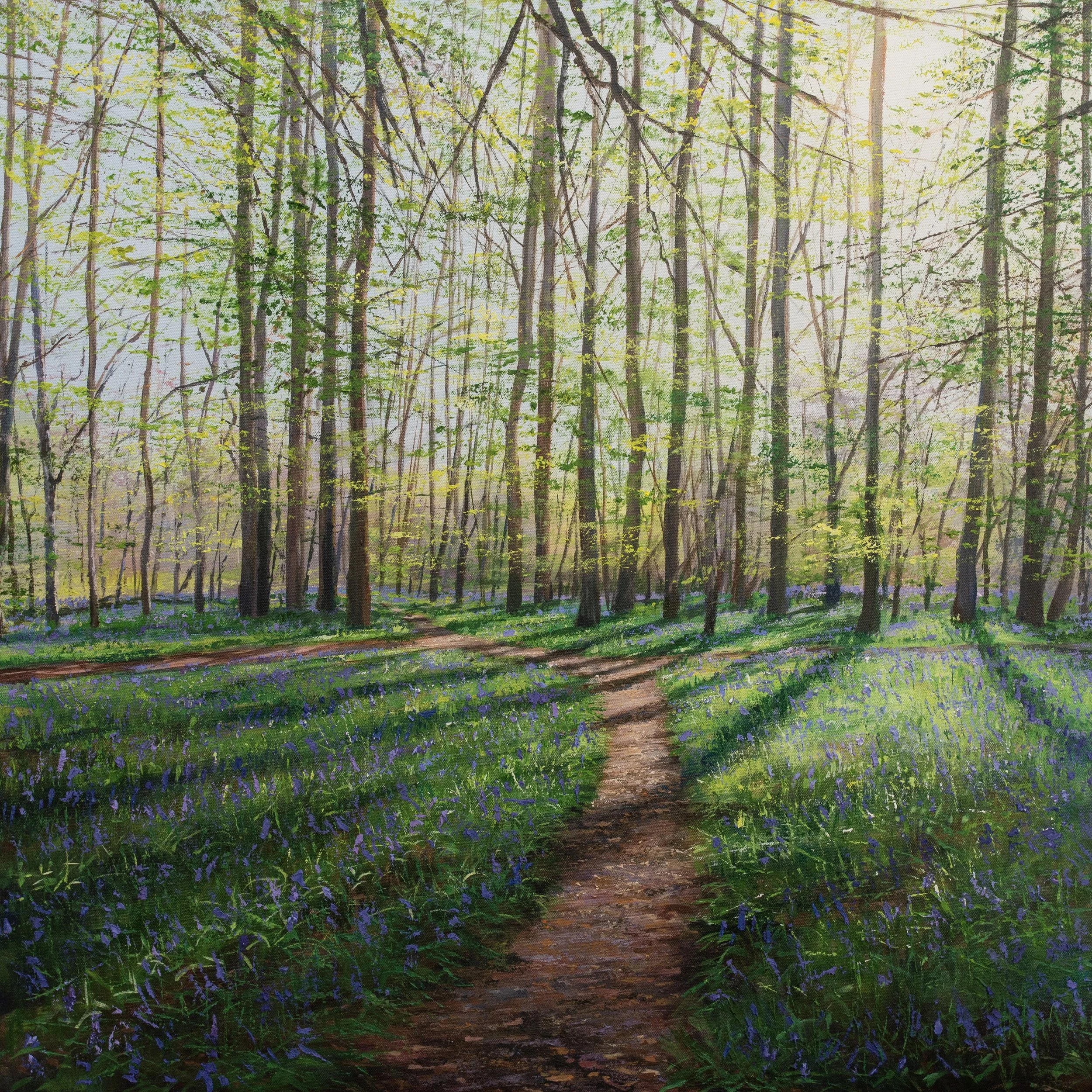 Morning Light Through the Bluebells.jpg