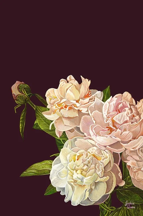 White Peonies 44x29cm in 61x46cm frame