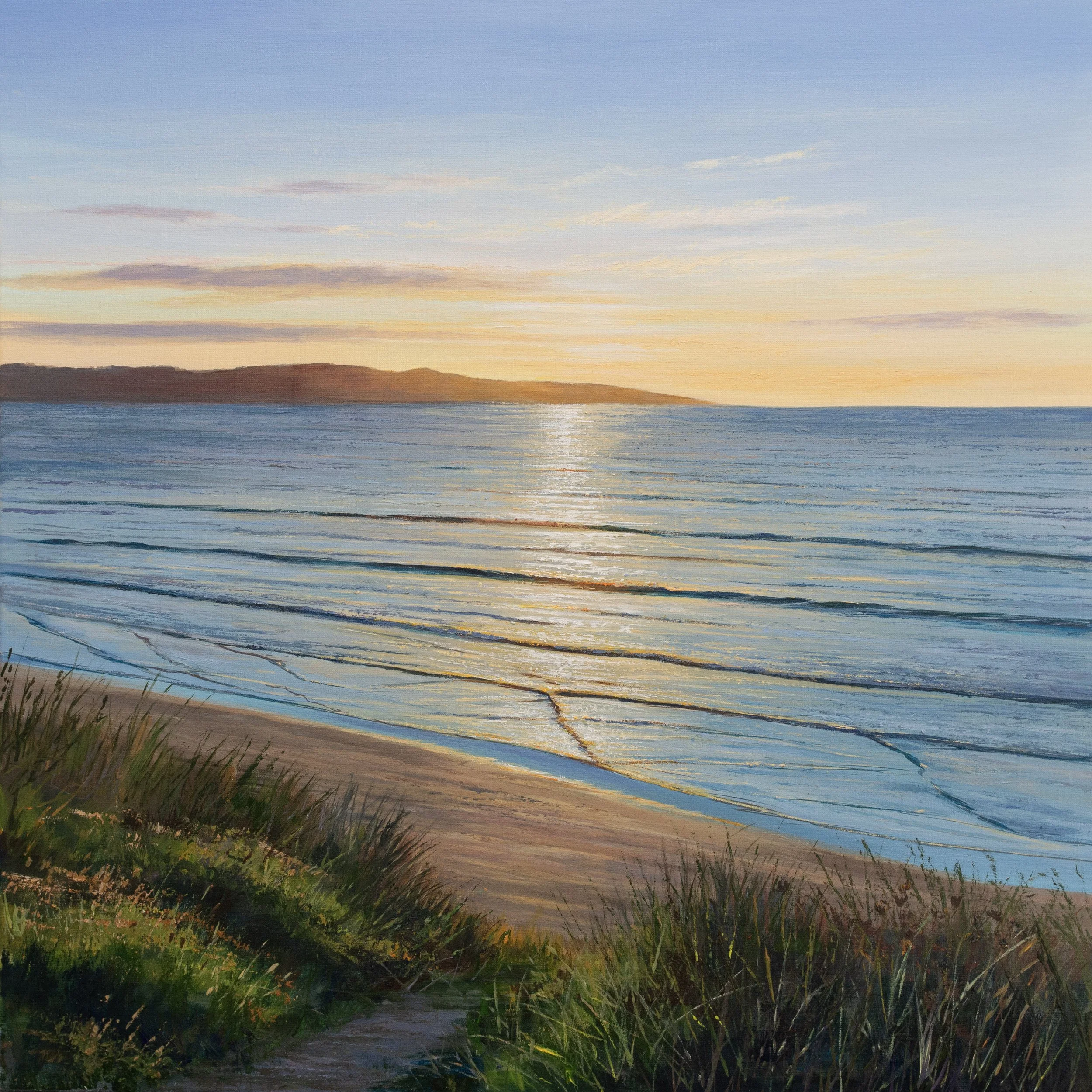 Sea Grass, Gwithian.jpg