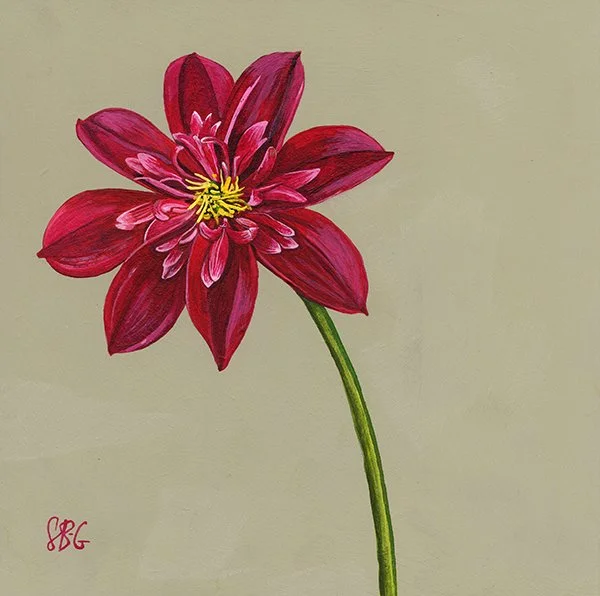 Dahlia 18x18cm in 35x35cm frame