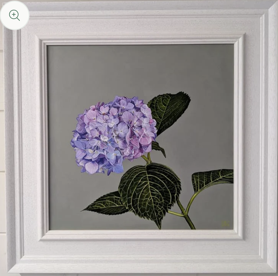 Hydrangea 39x39cm in 56x56cm frame