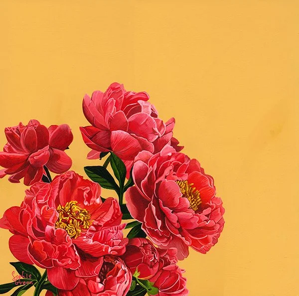 Peonies 39x39cm in 56x56cm frame