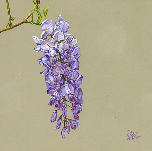 Wisteria 18x18cm in 35x35cm frame