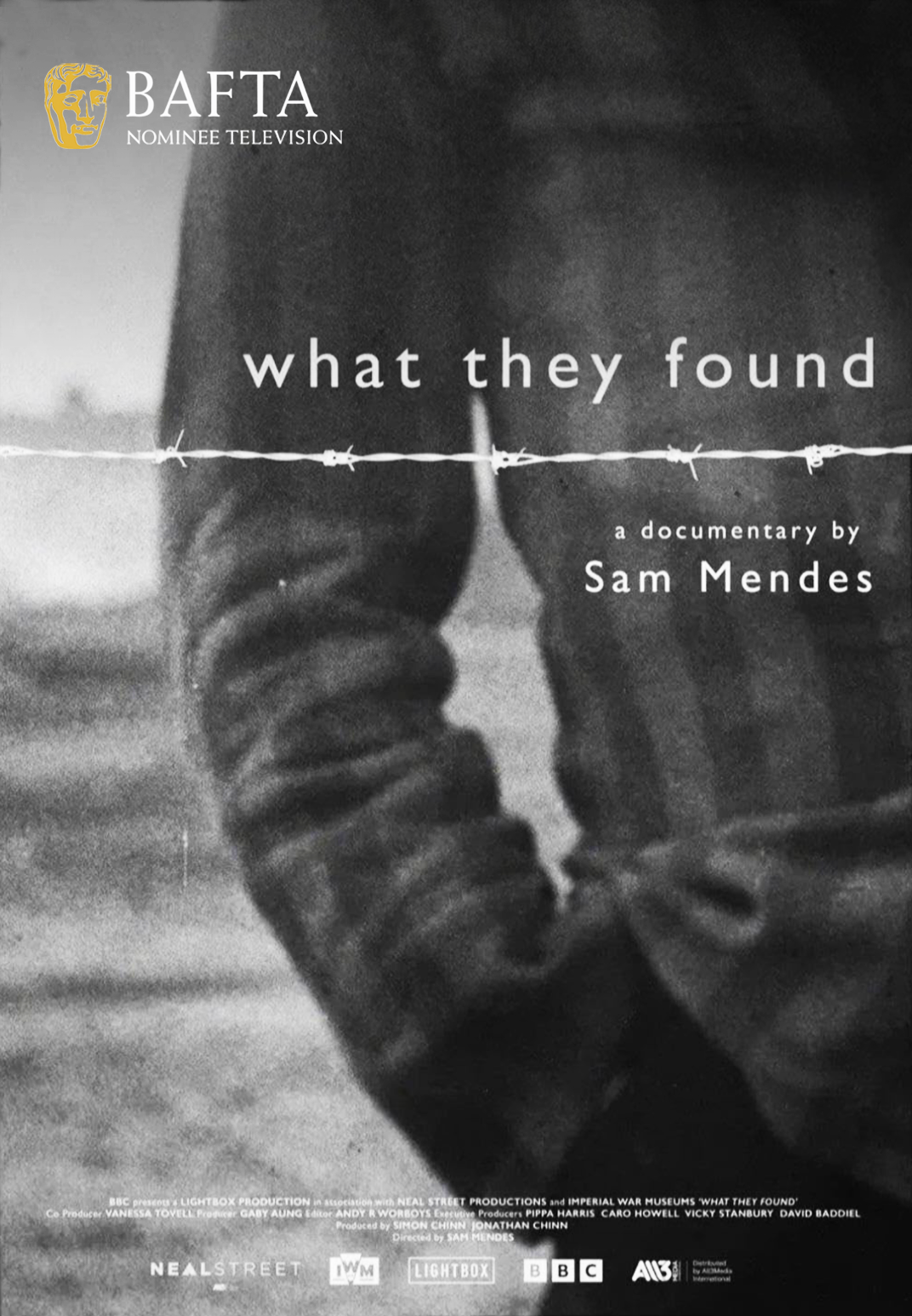 What They Found POSTER + AWARD.png