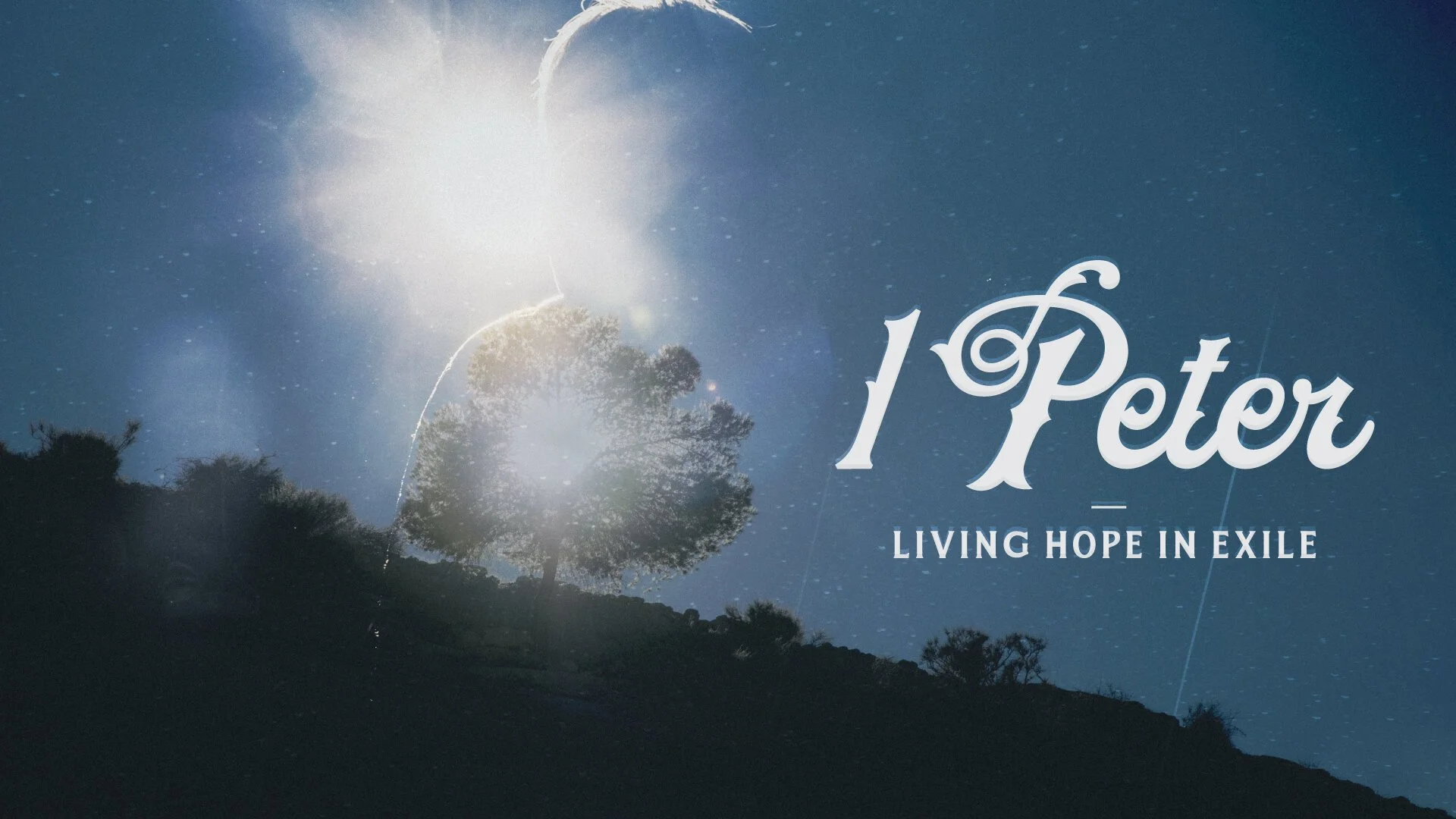 Sharing Christ's Sufferings