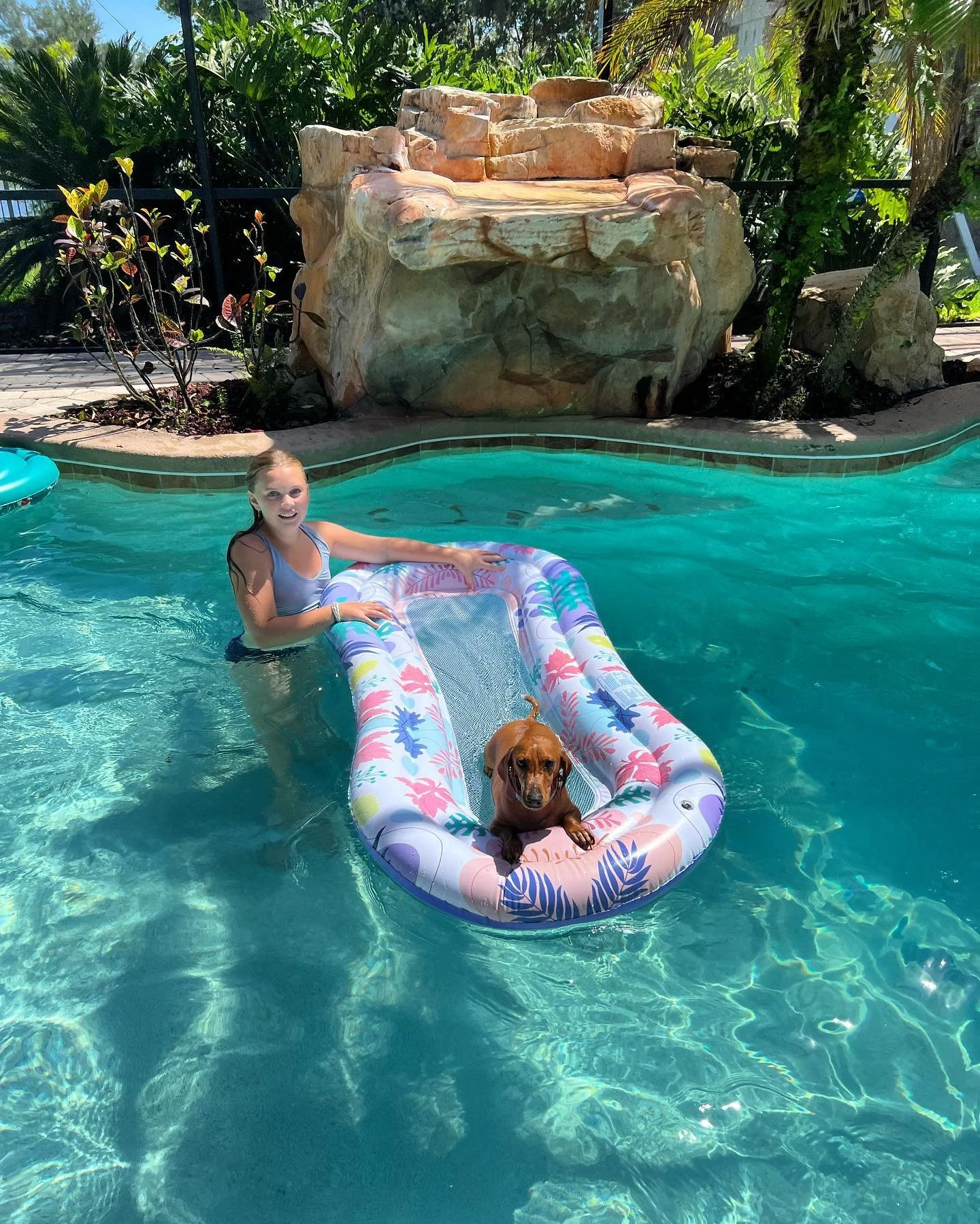 Ollie staying cool π