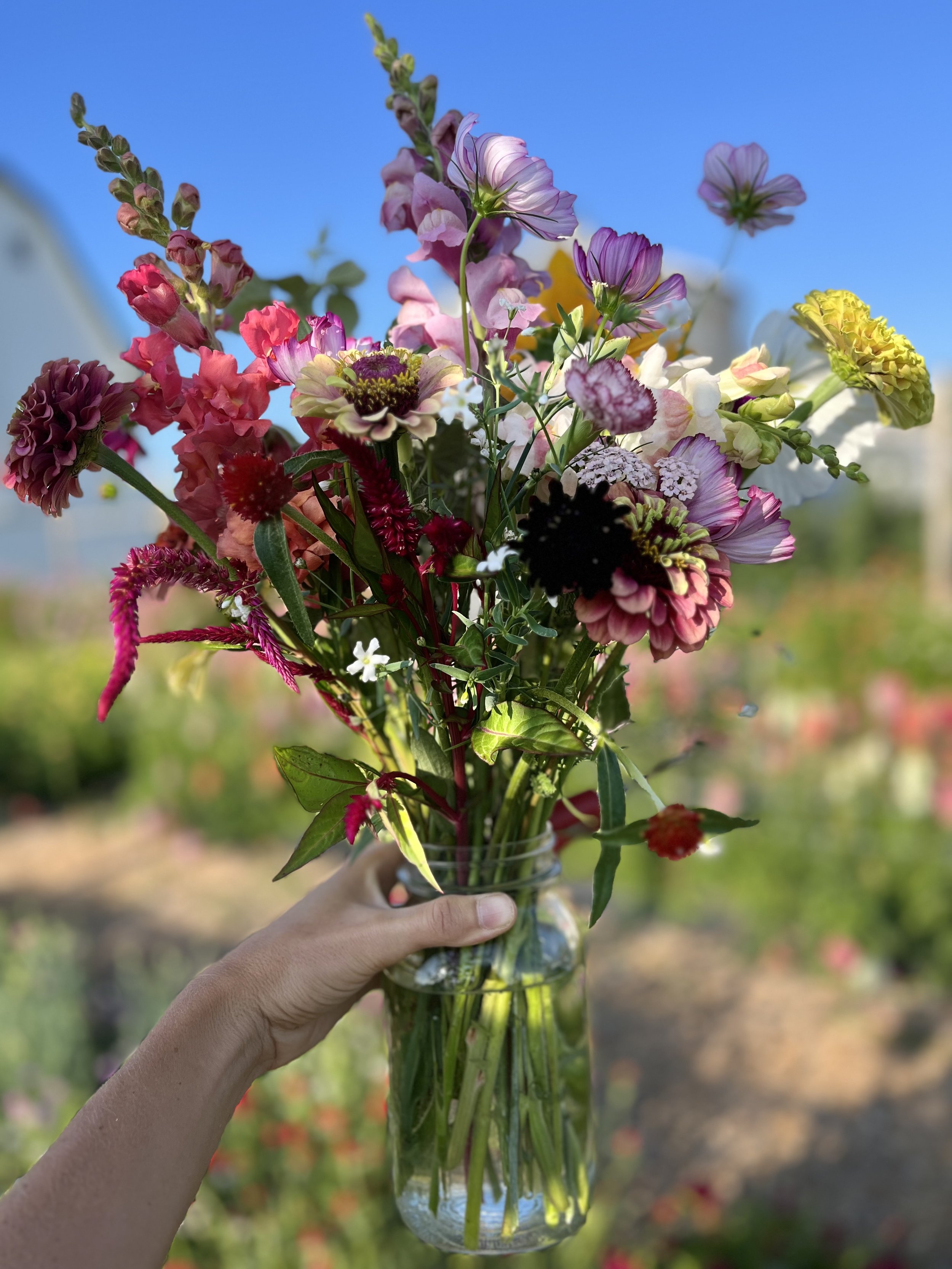 Art from the Garden with Erik Dutcher