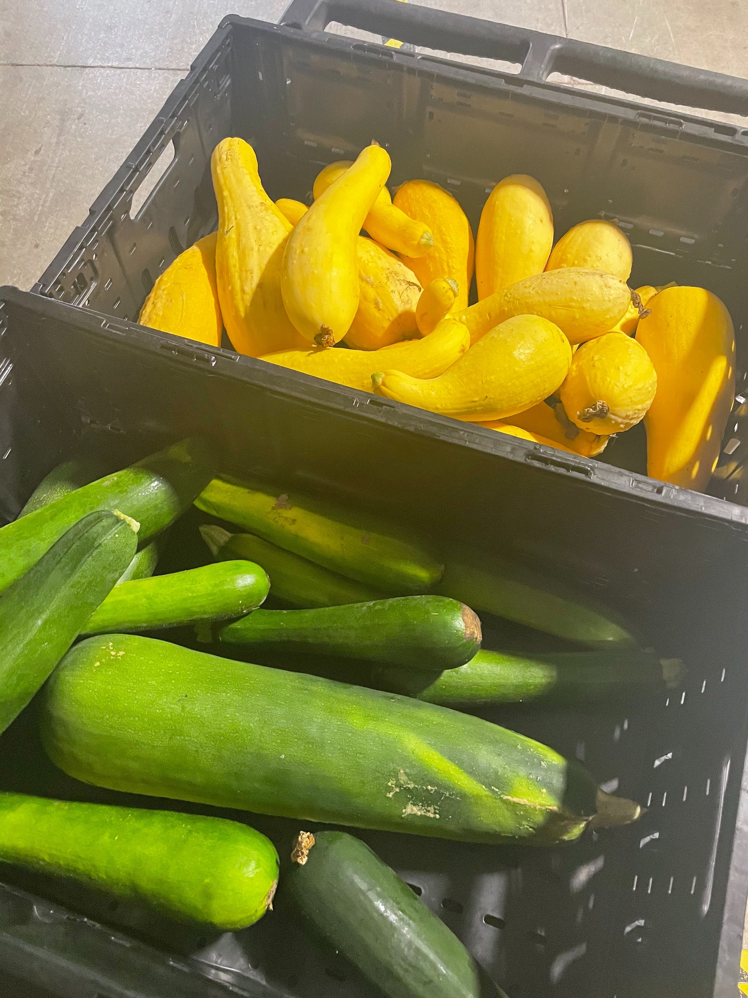 zucchini and yellow squash.jpg