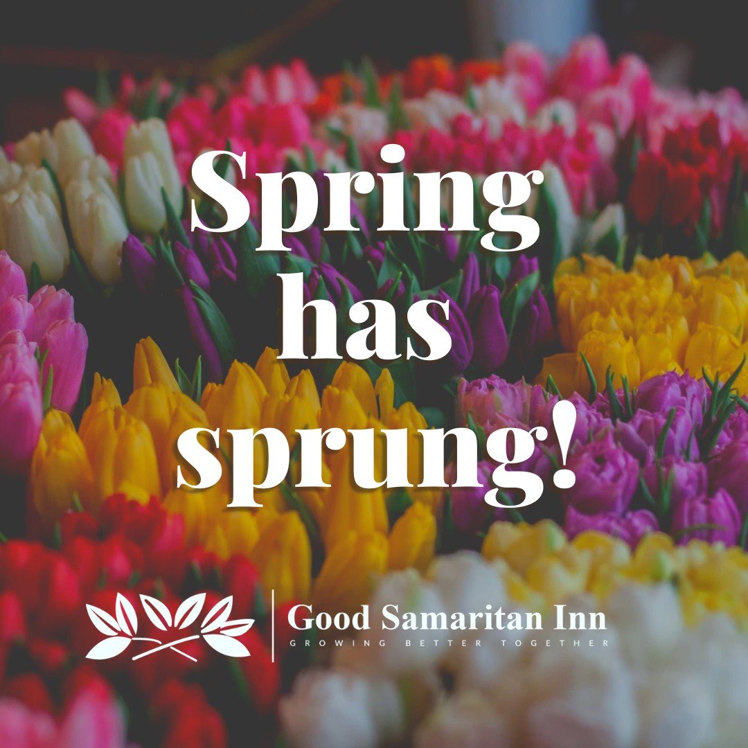 Spring finally took the stage today, and it didn&rsquo;t come quietly. ☀️🌱

The air feels lighter, the sunshine lingers a little longer, and everything around us is waking up again. It&rsquo;s the perfect reminder that fresh starts are always within