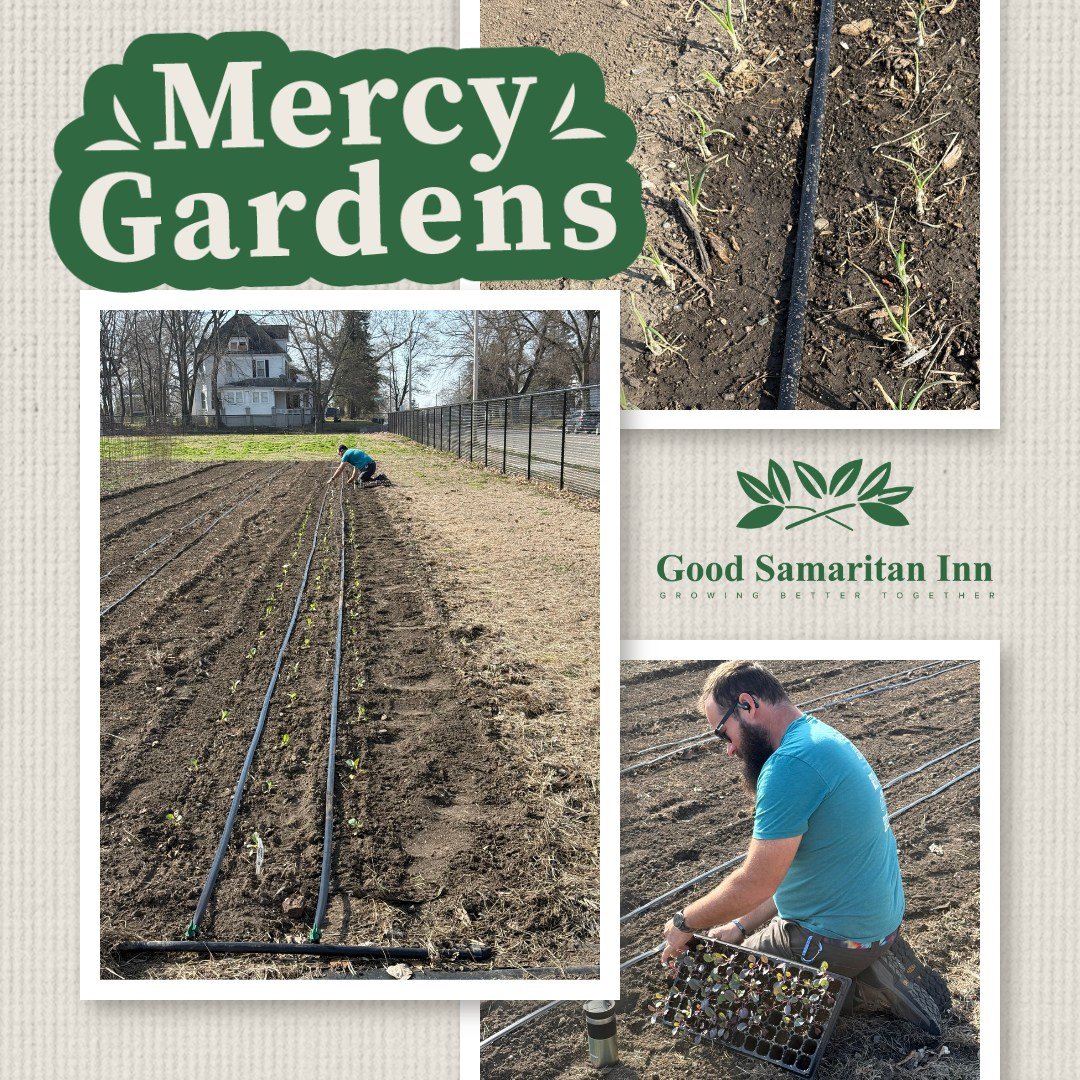 Mercy Gardens Manager Ben was all smiles and ready to dig in on this beautiful day!

Today he&rsquo;s getting kale and cabbage in the ground, while onions, radishes, and garlic are already off to a strong start. These early-season crops thrive in coo