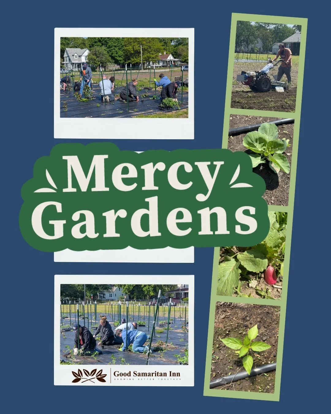 A big thank you to the D1Naz church group for coming out to help plant at Mercy Gardens last Sunday! 🌱

As Mercy Gardens has grown to 5 acres, so has the need for helping hands to weed, plant, and mow. It&rsquo;s been incredible to see our community