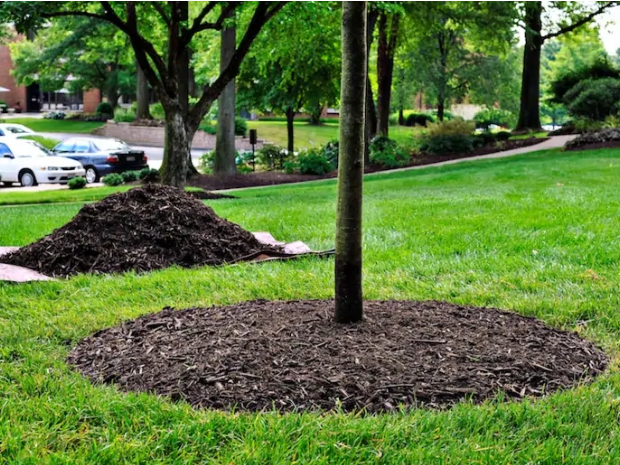 Bulk Mulch