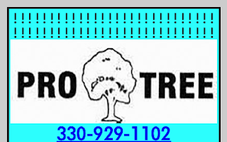 Pro Tree Ohio