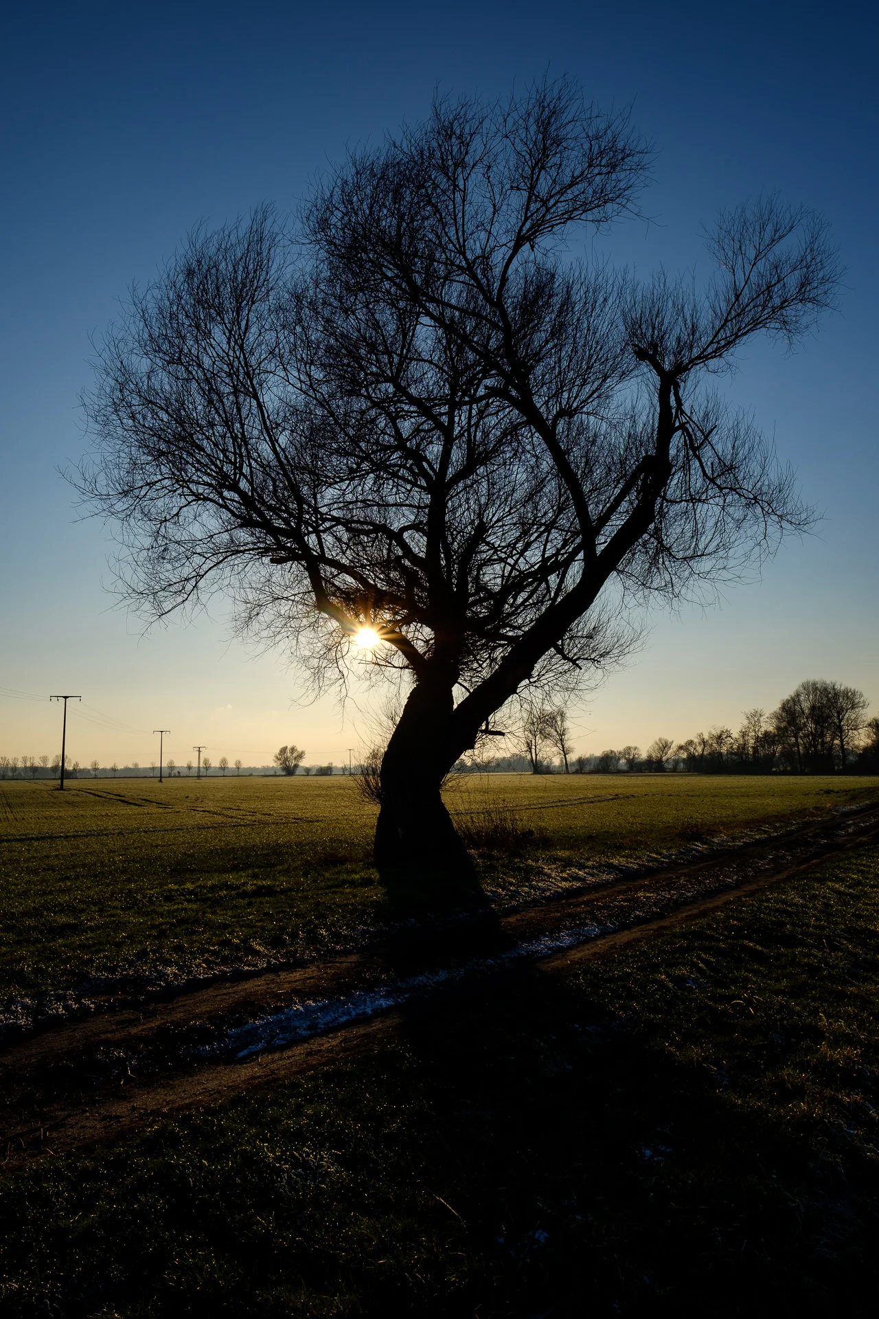 1XT23139.jpg