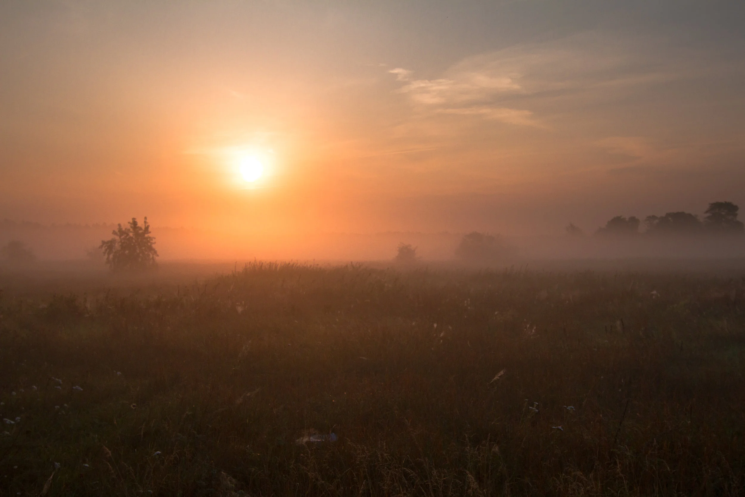_MG_9645.jpg