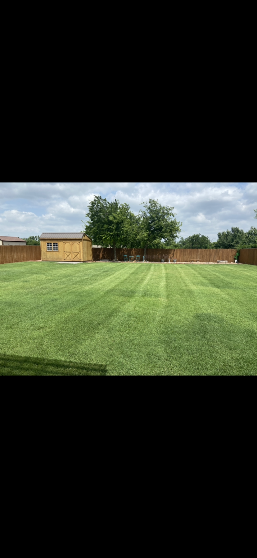 thornbrues stripes.PNG