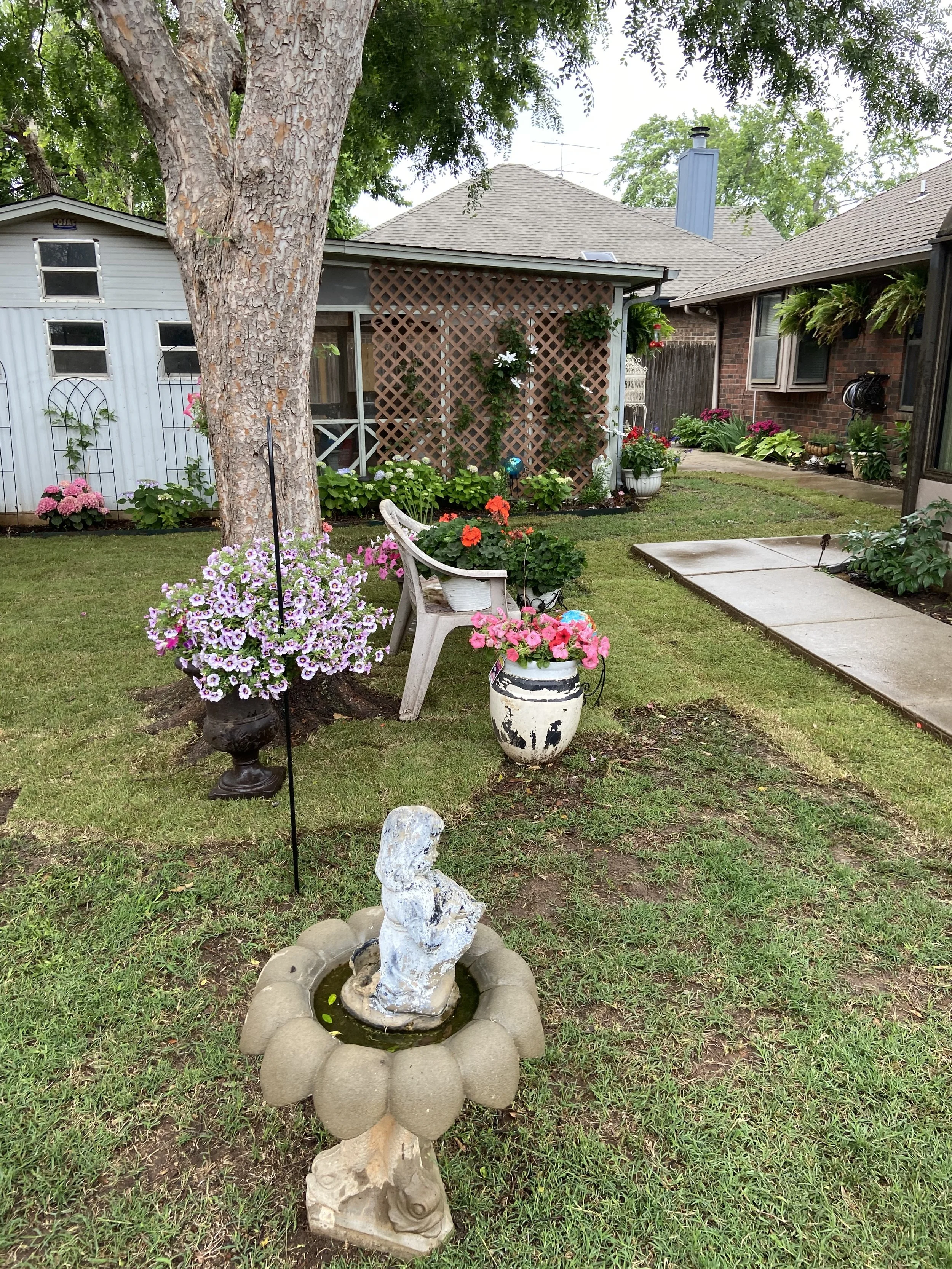 sod phyliss backyard 1.jpg
