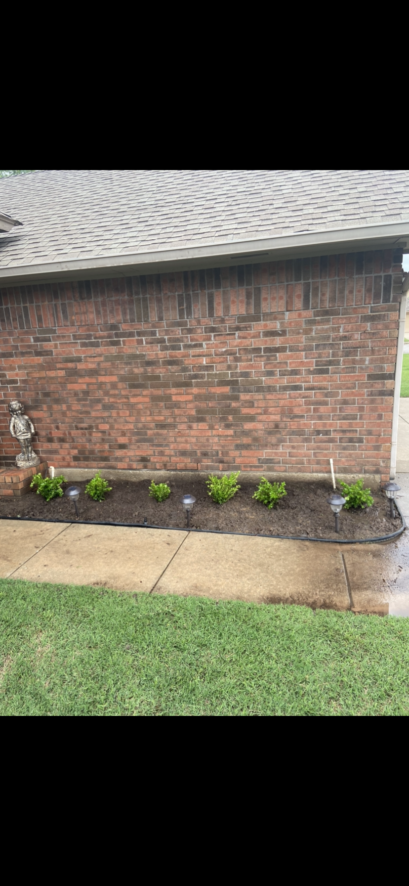 mulch phyliss dirt dirt.PNG