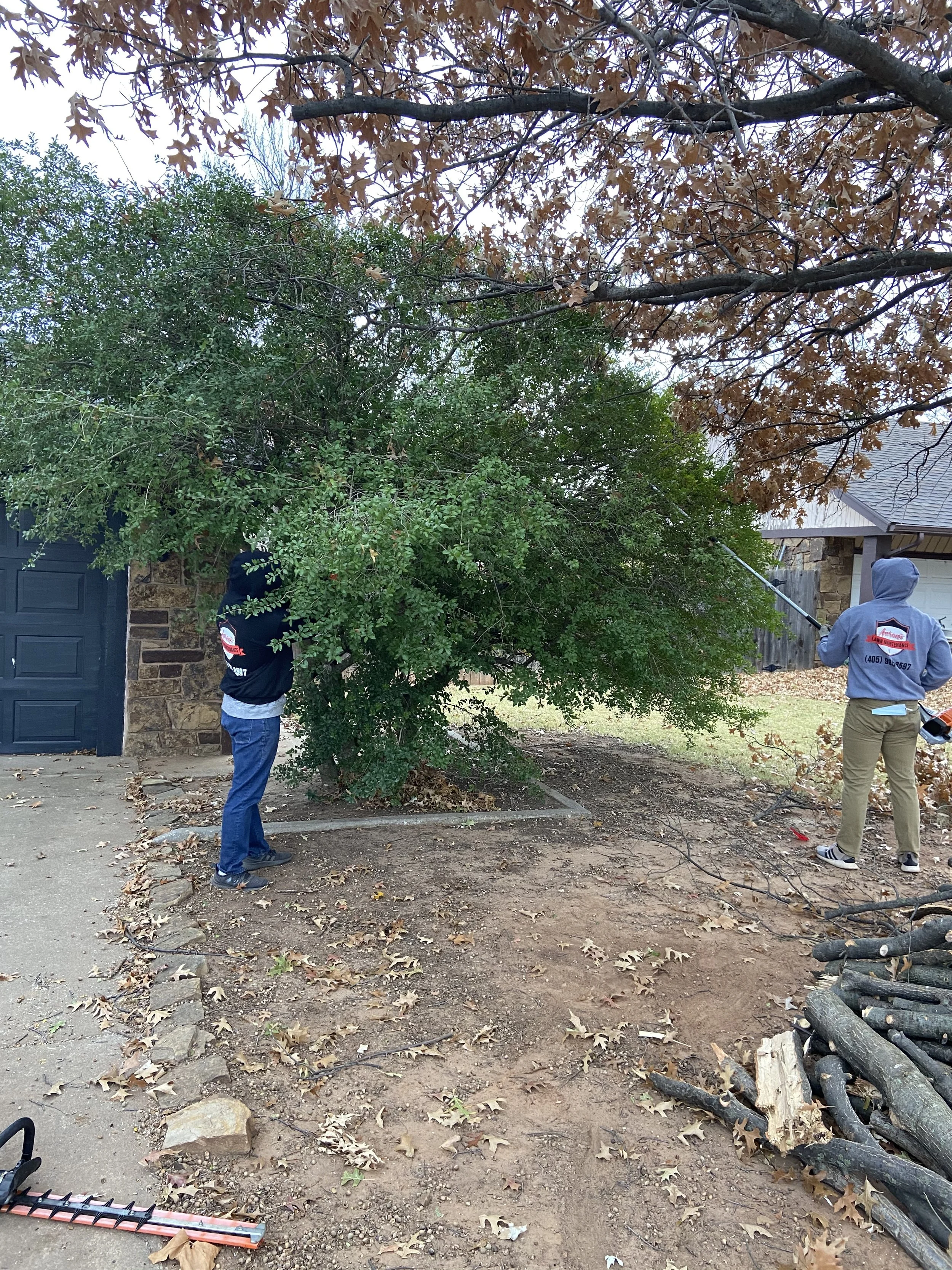 pop's bush removal.jpg