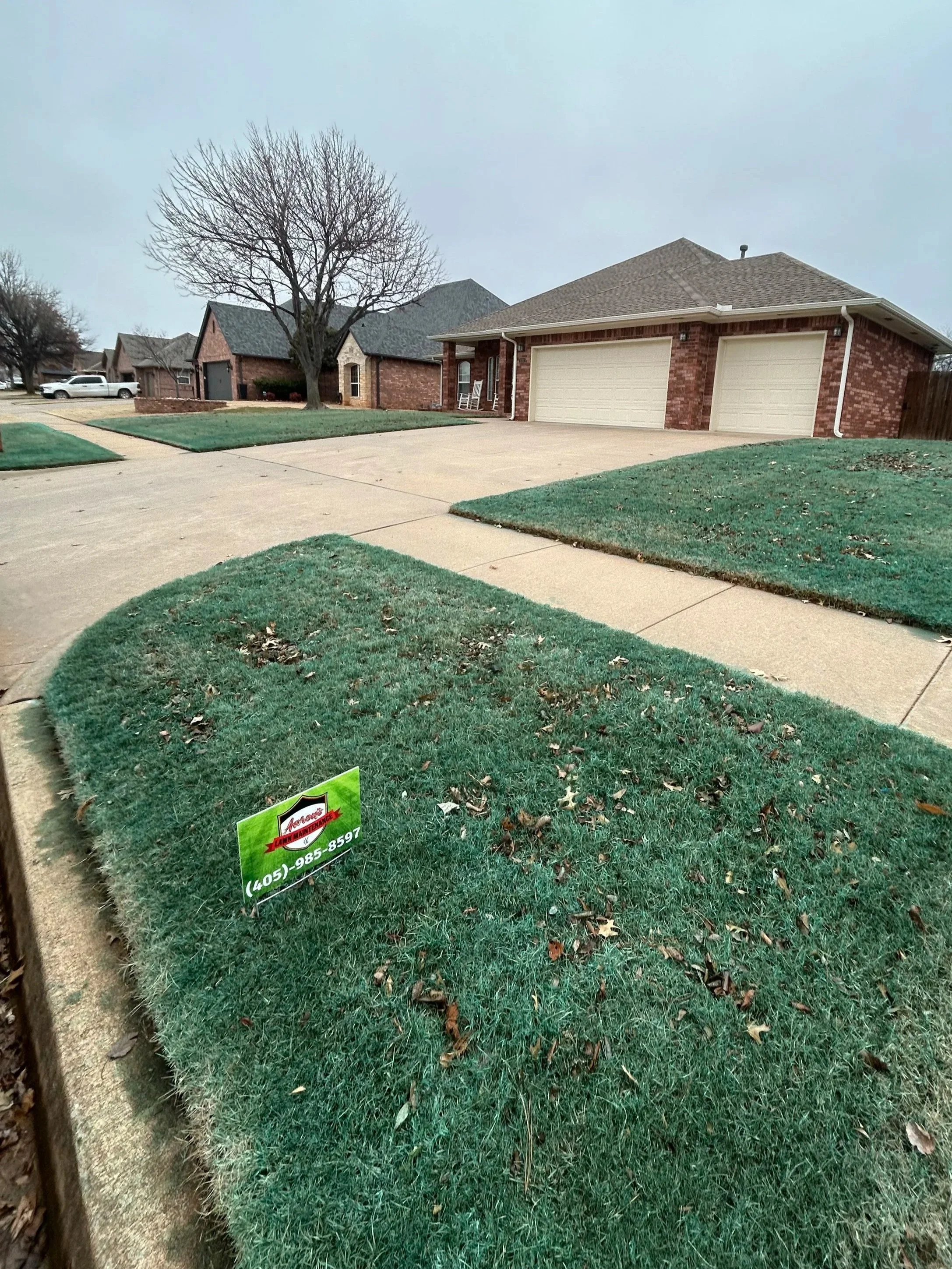 spray thornbrues 2.jpg