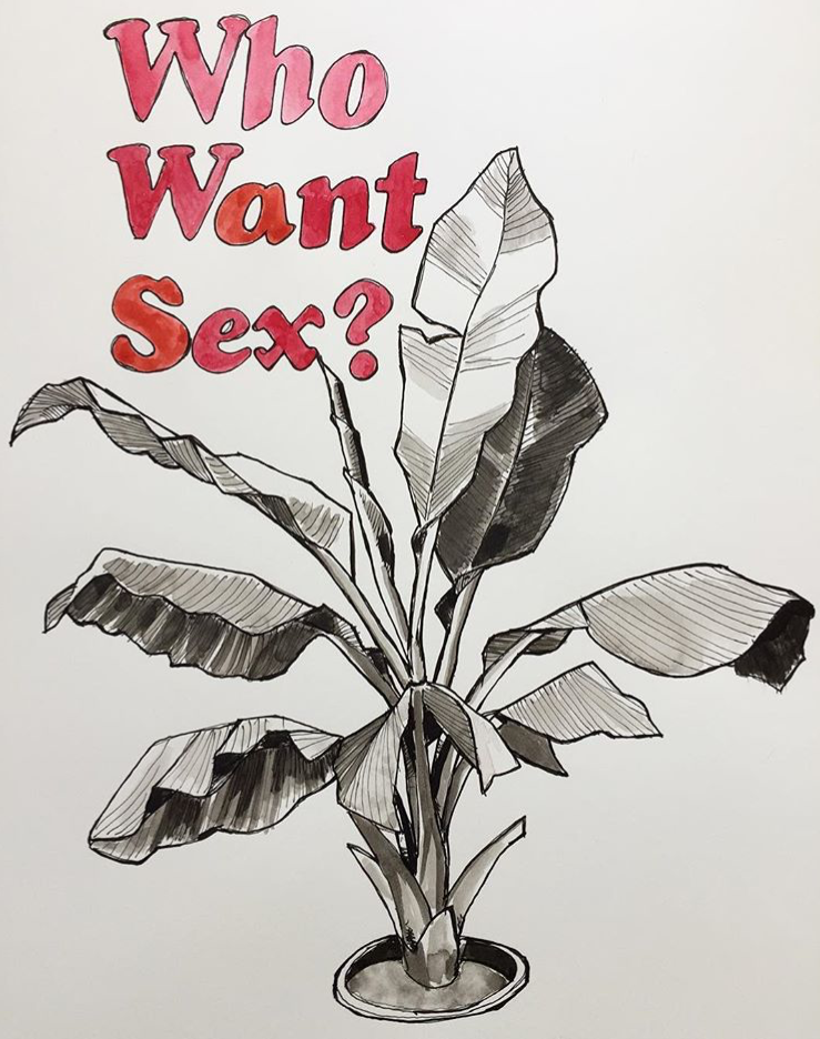 IMG_0973.PNG