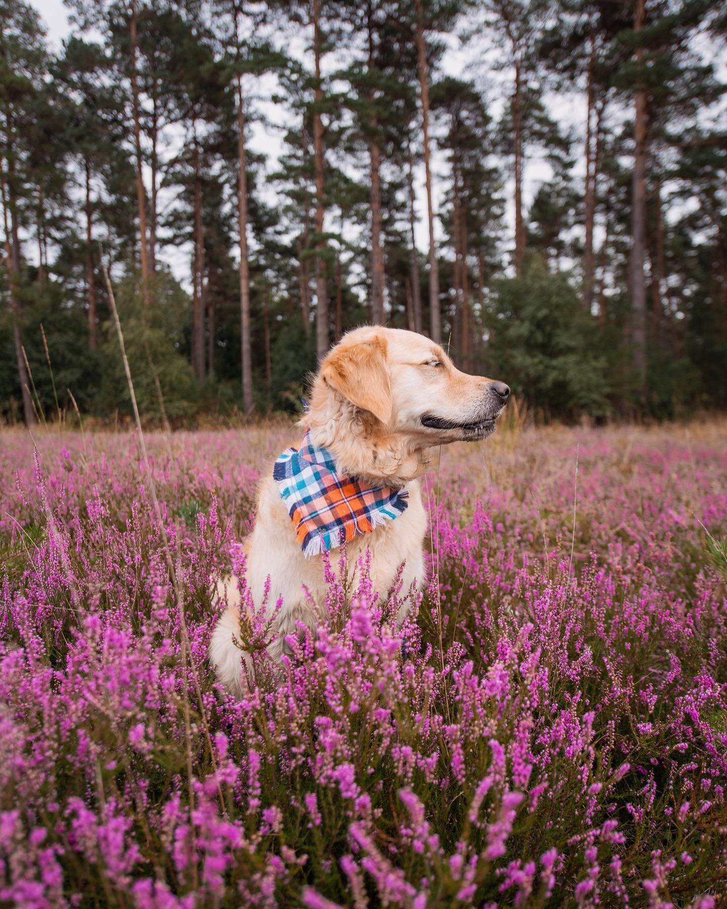 smiling because it&rsquo;s plaid season 🌸🍂🍁 #autumniscoming