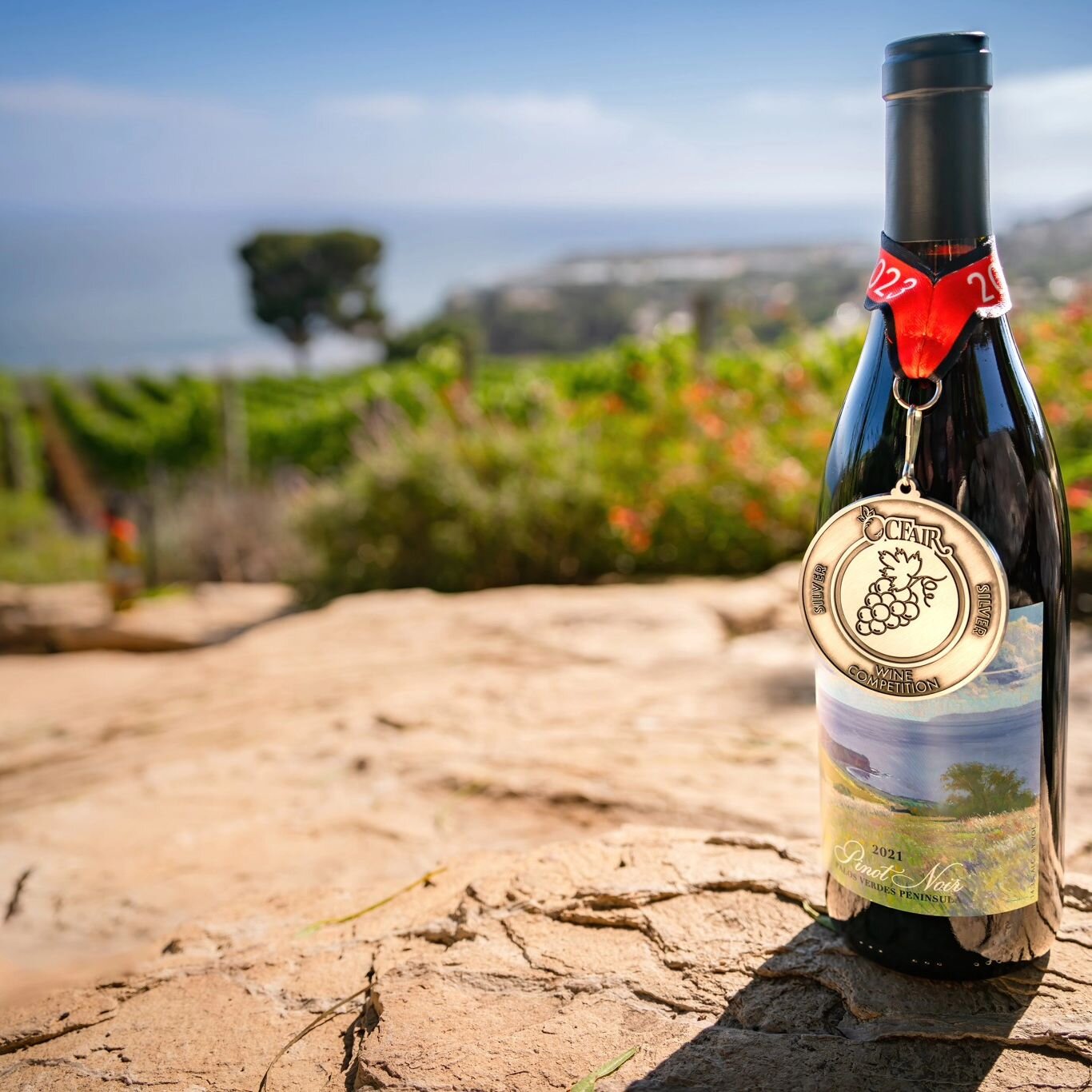 Our 2021 Catalina View Pinot Noir has received numerous accolades from critics and consumers alike! 🍷🏅With grapes grown on a south-facing slope on the Palos Verdes Peninsula, the well-drained soil, cooler temperatures, and coastal breezes make it a