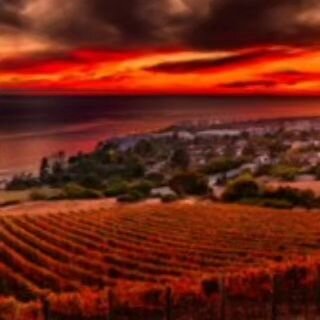 A spectacular sunset from the top of the vineyard 🩷🧡❤️