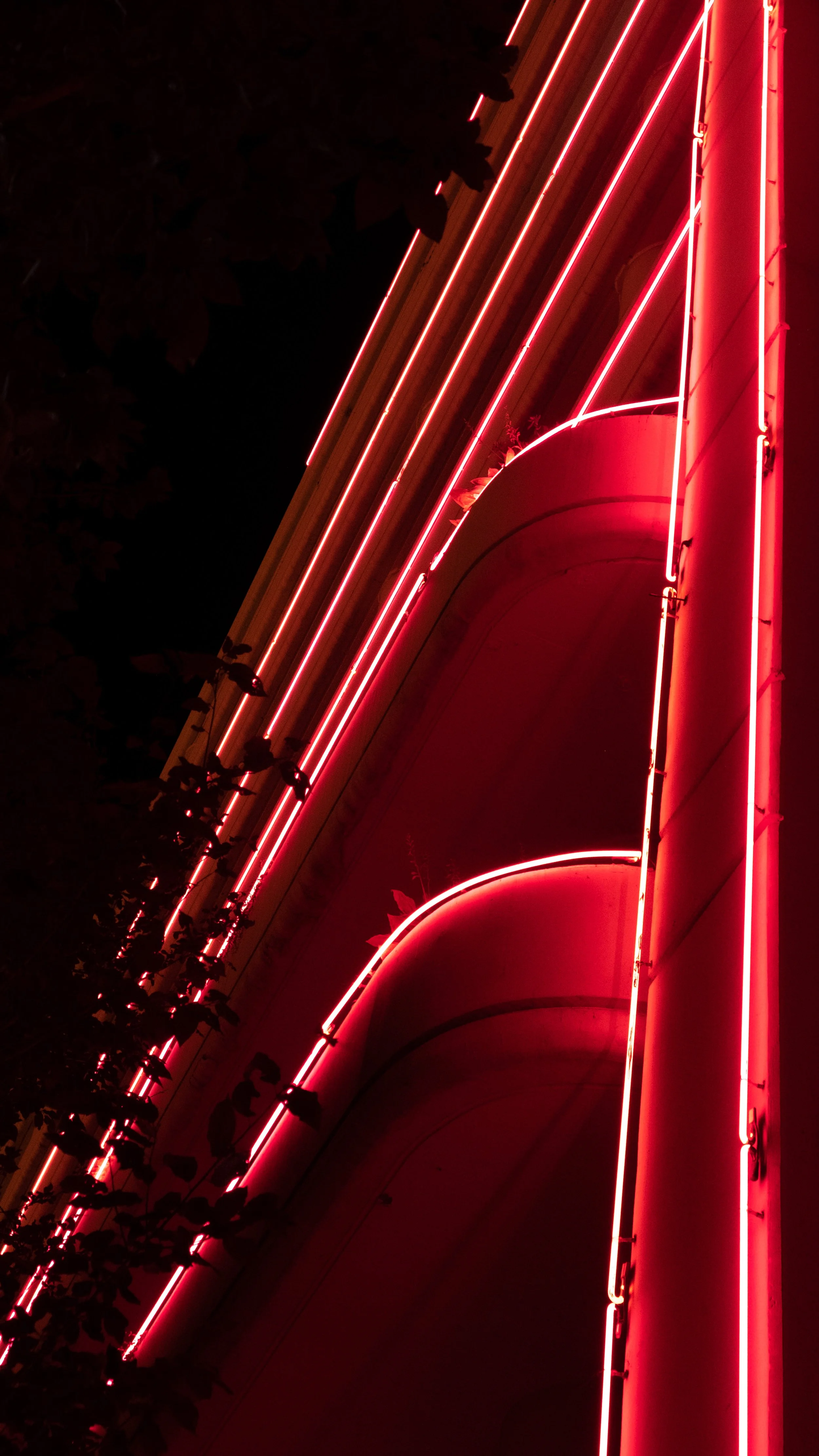 DSCF8113.JPG