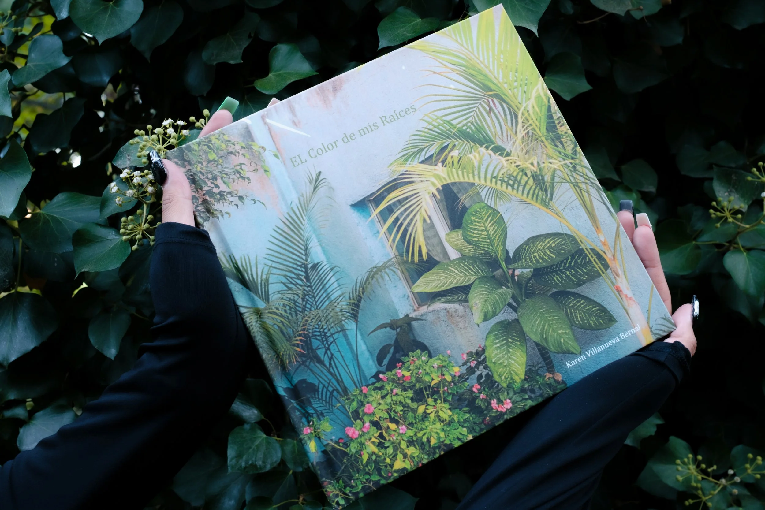 El Color De Mis Raices