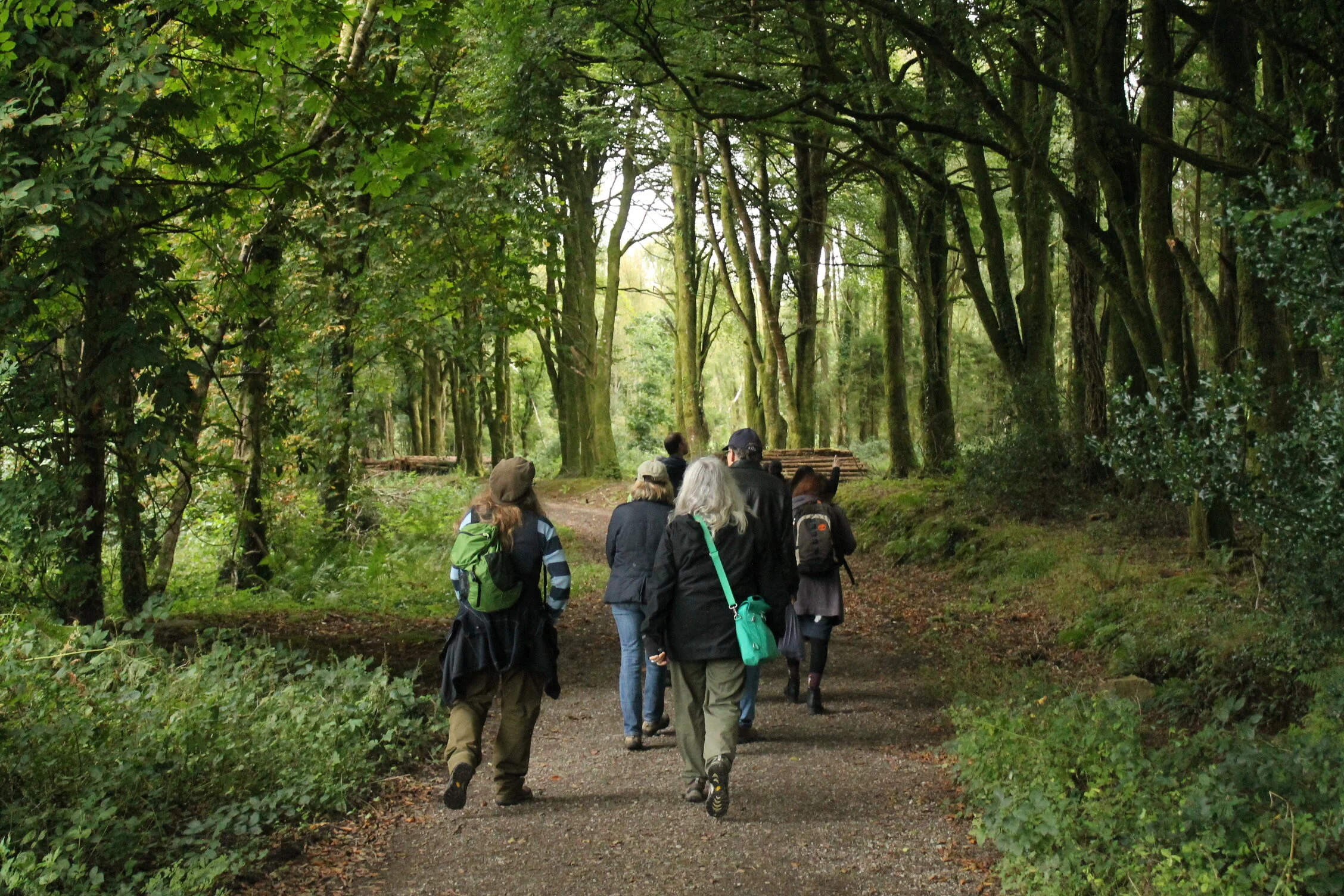 Walking in Raheen Wood.JPG
