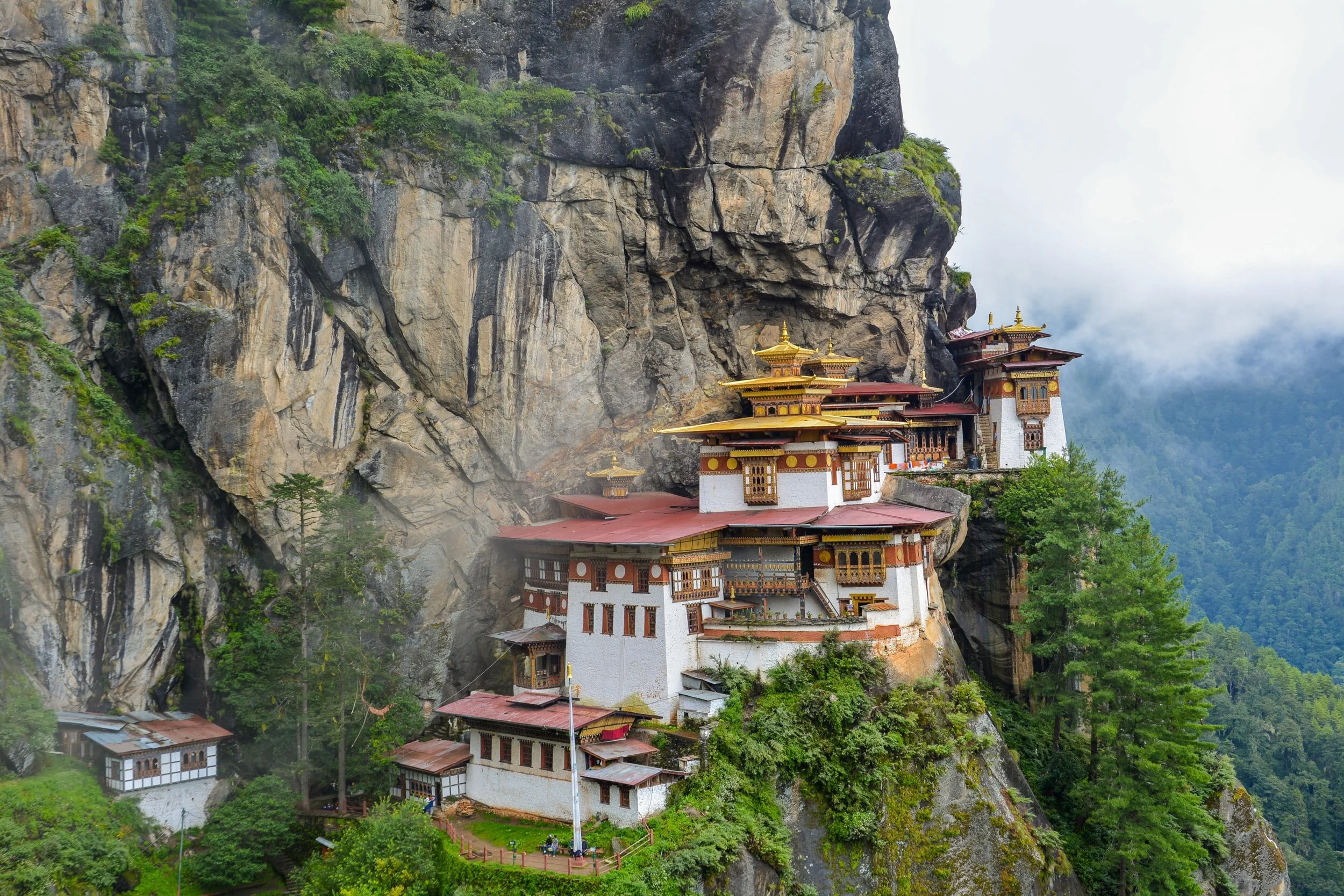 What All Organizations Can Learn from Bhutan
