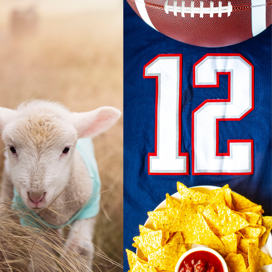 Leadership Learning from the GOATs