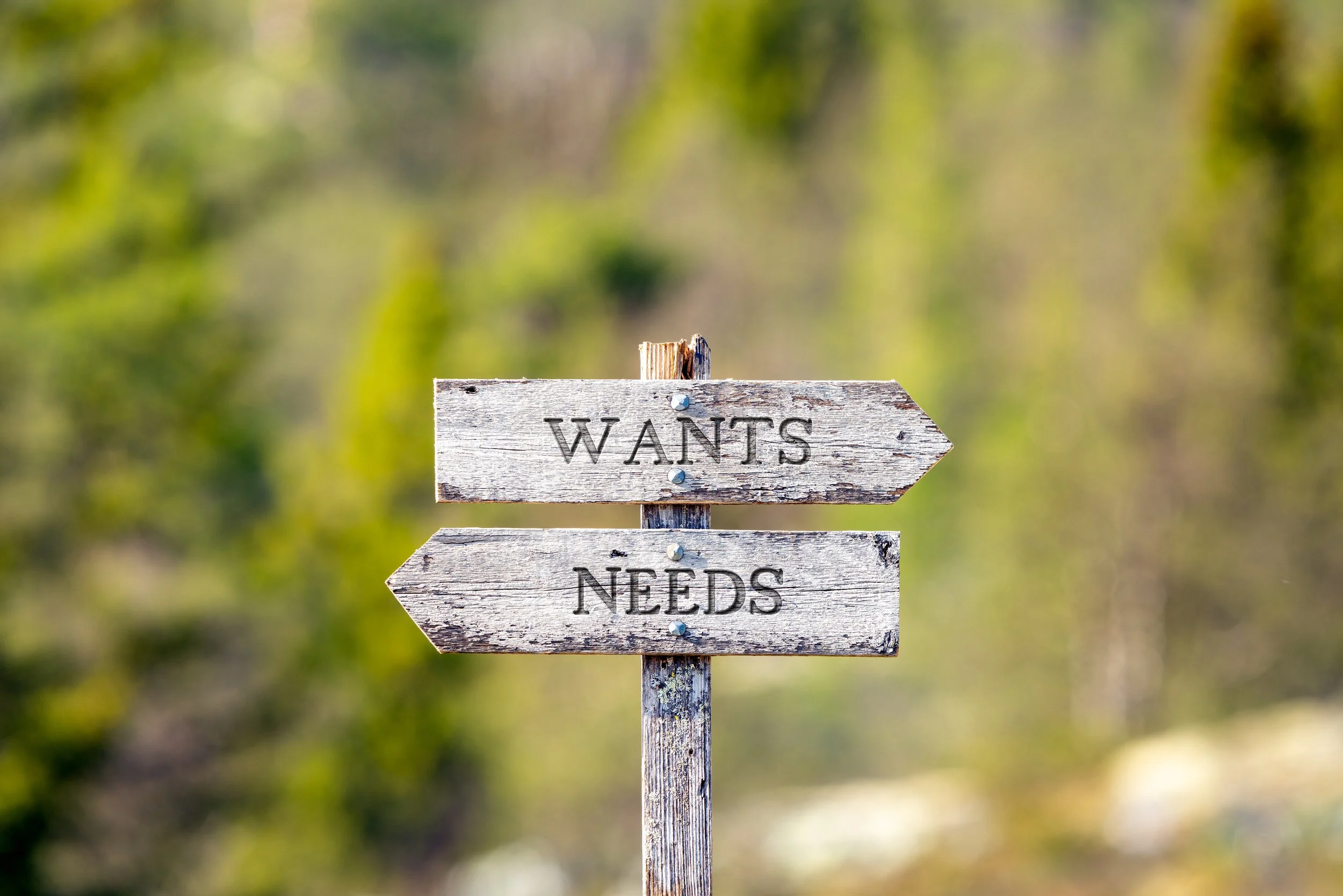 Needy Versus Needed