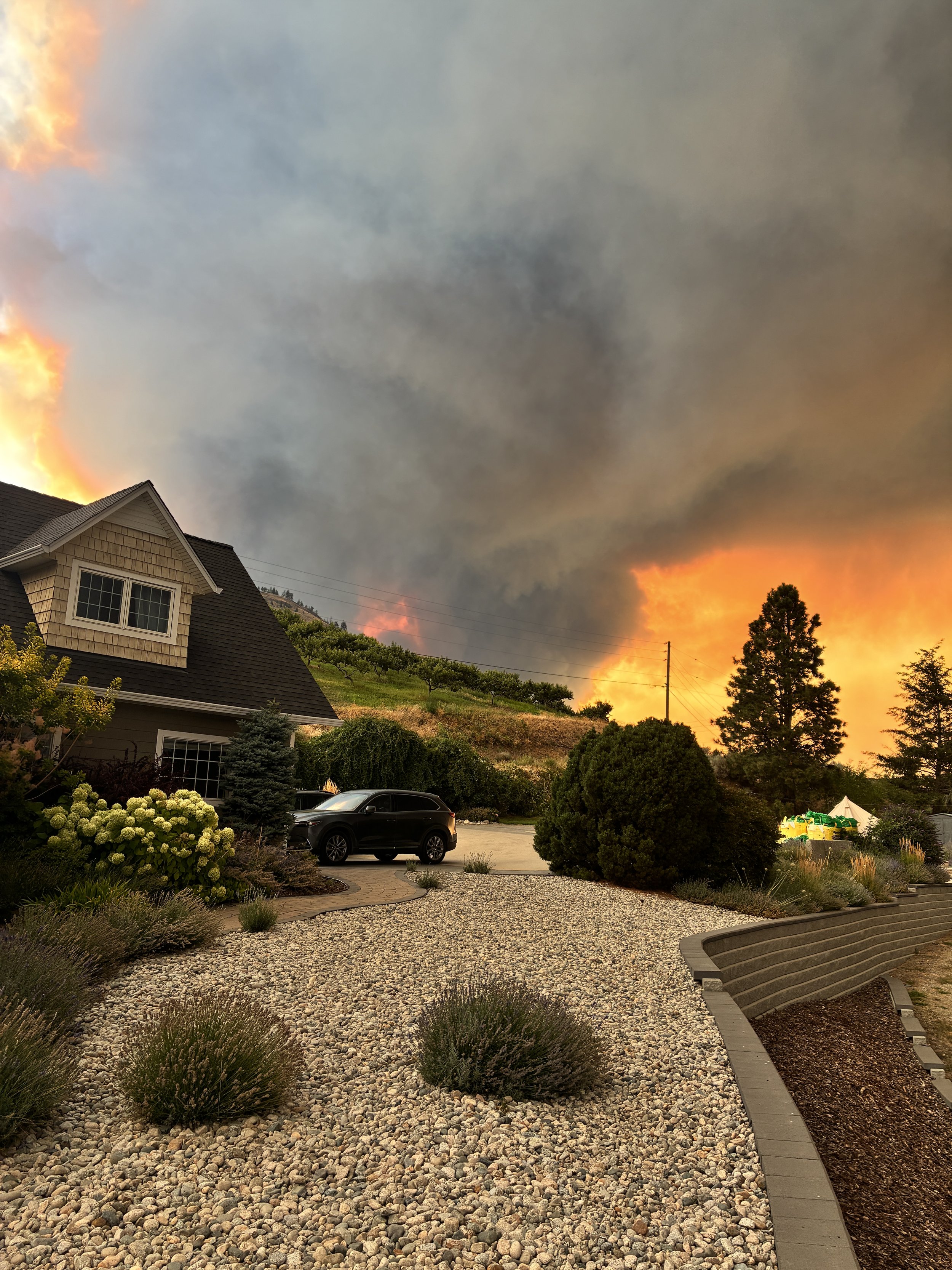 Wildfires and Wild Times